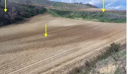 Aste giudiziarie immobiliari online - 7.0