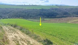 Aste giudiziarie immobiliari online - 8.0