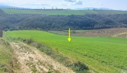 Aste giudiziarie immobiliari online - 9.0