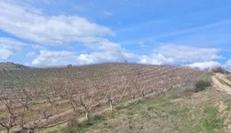 Aste giudiziarie immobiliari online - 10.0