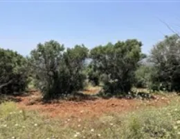 Aste giudiziarie immobiliari online - 9.0