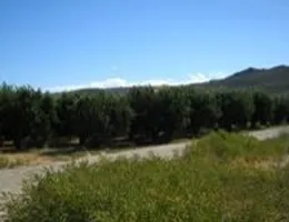 Aste giudiziarie immobiliari online - 12.0