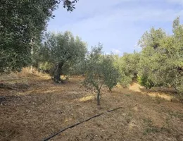Aste giudiziarie immobiliari online - 3.0