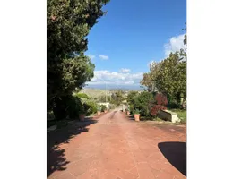 Aste giudiziarie immobiliari online - 10.0