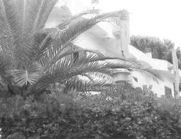 Aste giudiziarie immobiliari online - 8.0