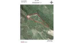 Aste giudiziarie immobiliari online - 9.0