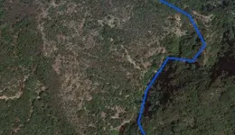 Aste giudiziarie immobiliari online - 8.0