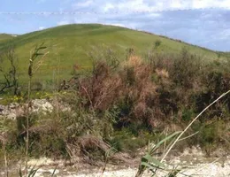 Aste giudiziarie immobiliari online - 9.0