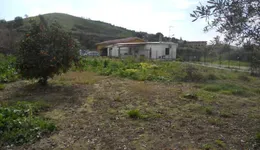Aste giudiziarie immobiliari online - 6.0