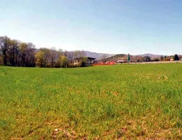 Aste giudiziarie immobiliari online - 10.0