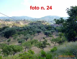Aste giudiziarie immobiliari online - 4.0