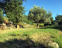 Aste giudiziarie immobiliari online - 4.0