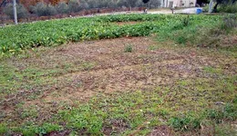 Aste giudiziarie immobiliari online - 12.0