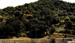 Aste giudiziarie immobiliari online - 6.0