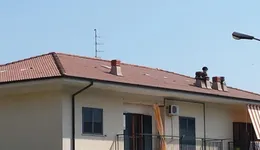 Aste giudiziarie immobiliari online - 8.0