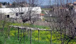 Aste giudiziarie immobiliari online - 6.0