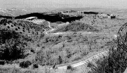 Aste giudiziarie immobiliari online - 4.0