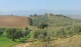 Aste giudiziarie immobiliari online - 10.0