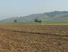 Aste giudiziarie immobiliari online - 12.0