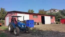 Aste giudiziarie immobiliari online - 7.0