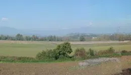 Aste giudiziarie immobiliari online - 8.0
