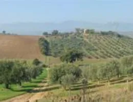 Aste giudiziarie immobiliari online - 8.0