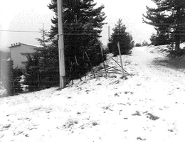 Aste giudiziarie immobiliari online - 4.0