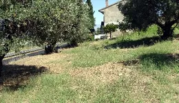 Aste giudiziarie immobiliari online - 1.0