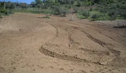 Aste giudiziarie immobiliari online - 2.0