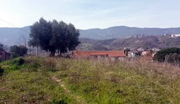 Aste giudiziarie immobiliari online - 4.0