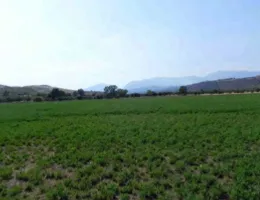 Aste giudiziarie immobiliari online - 6.0