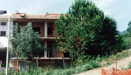 Aste giudiziarie immobiliari online - 1.0