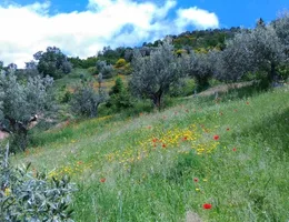 Aste giudiziarie immobiliari online - 10.0