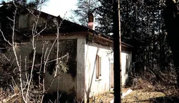 Aste giudiziarie immobiliari online - 9.0