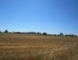 Aste giudiziarie immobiliari online - 6.0