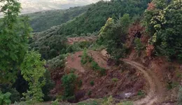 Aste giudiziarie immobiliari online - 11.0