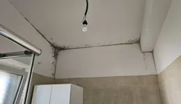 Aste giudiziarie immobiliari online - 6.0