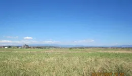 Aste giudiziarie immobiliari online - 12.0