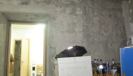 Aste giudiziarie immobiliari online - 6.0