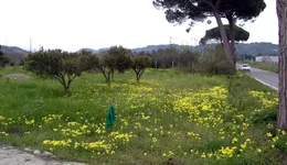 Aste giudiziarie immobiliari online - 3.0