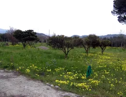 Aste giudiziarie immobiliari online - 6.0