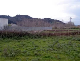 Aste giudiziarie immobiliari online - 8.0