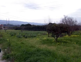 Aste giudiziarie immobiliari online - 11.0