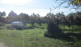 Aste giudiziarie immobiliari online - 6.0