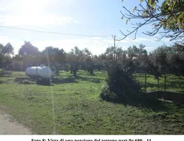 Aste giudiziarie immobiliari online - 6.0