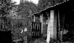 Aste giudiziarie immobiliari online - 9.0