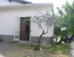 Aste giudiziarie immobiliari online - 9.0