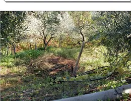 Aste giudiziarie immobiliari online - 8.0