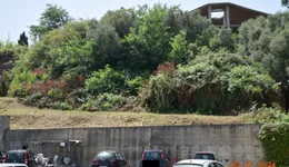 Aste giudiziarie immobiliari online - 5.0