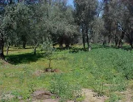 Aste giudiziarie immobiliari online - 12.0